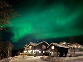 Feriehus med ti senger på Skaidi